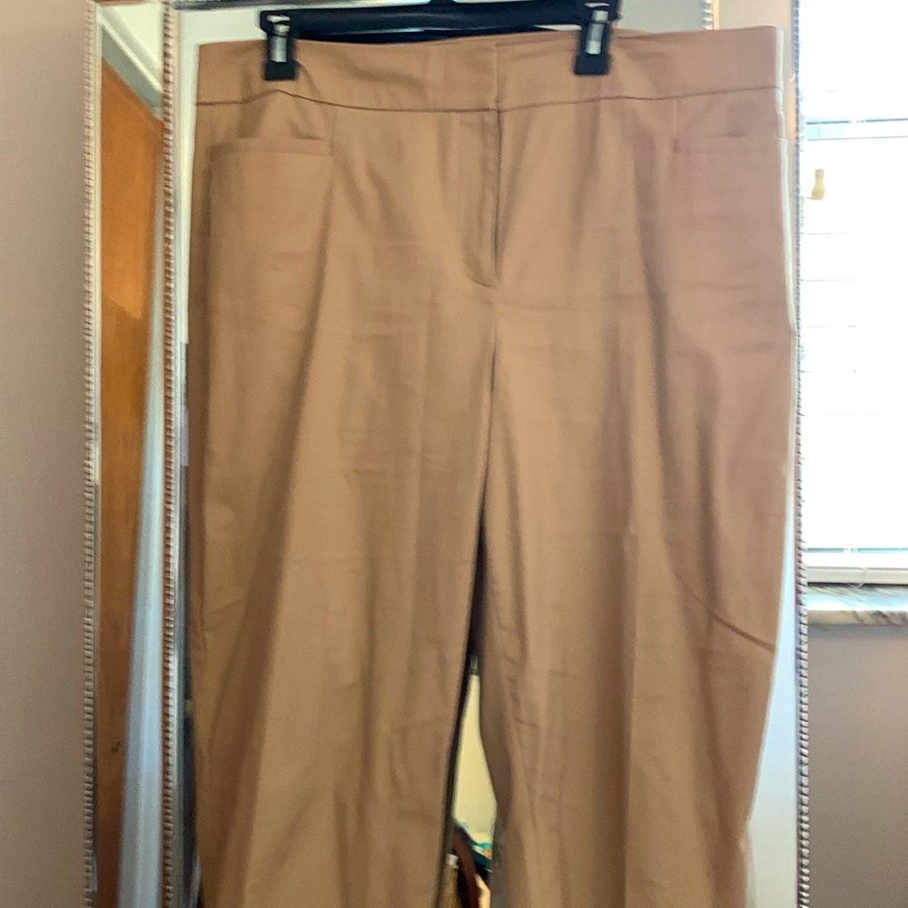 Ann Taylor beige pants size 14 soft material 100% cotton